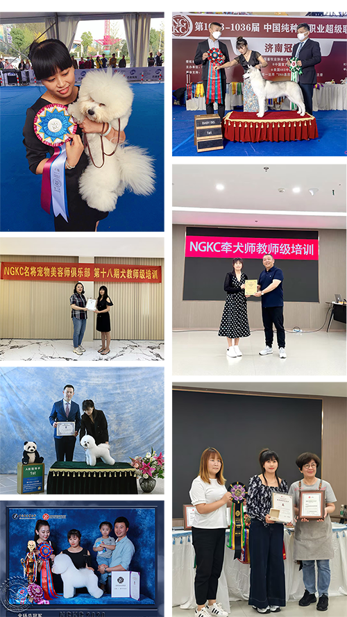 1727230095592222.png pintu.png