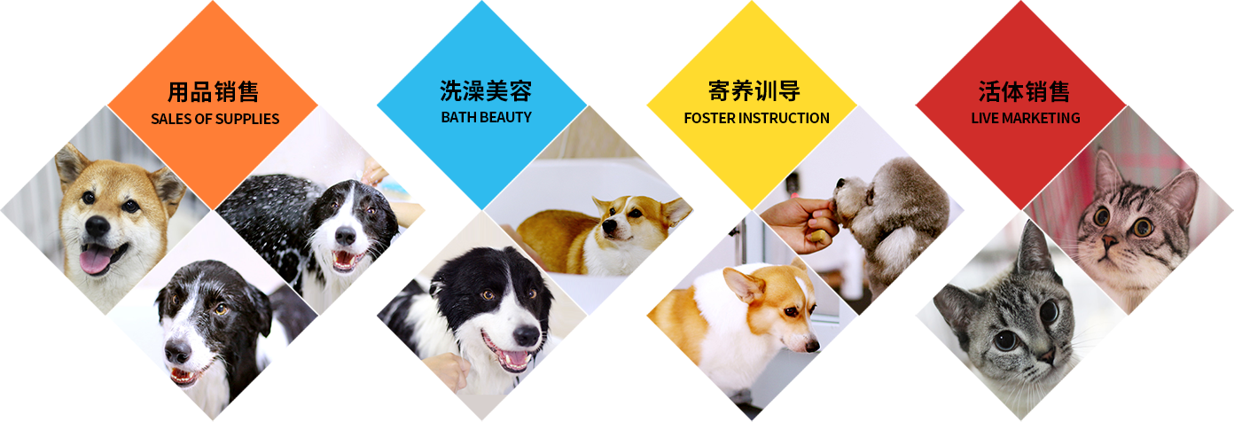 这是描述信息 这是描述信息