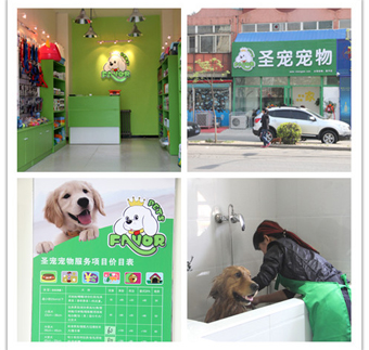 圣宠宠物店（北京昌平店）