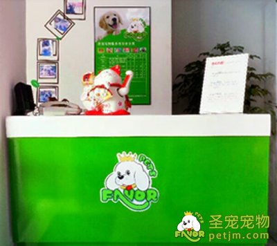 圣宠宠物店(宁夏银川宠物店)与9月6日正式开业