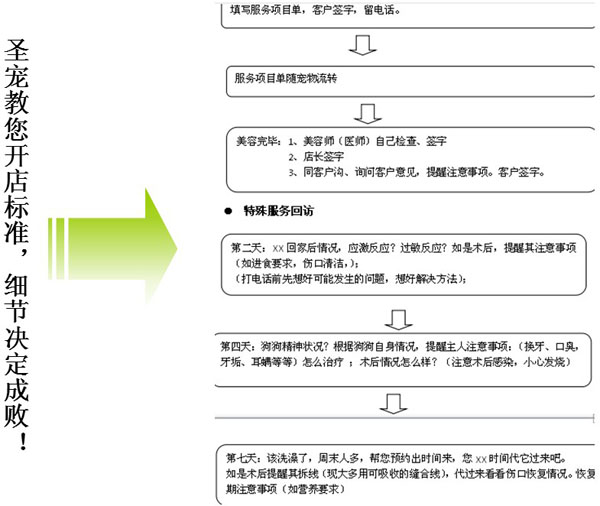 圣宠中期支持-宠物店全程培训