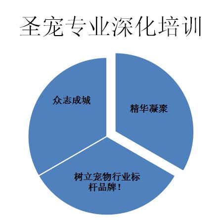 圣宠后期支持—宠物店深化培训