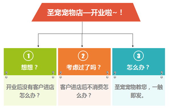 圣宠后期支持—宠物店排忧解难