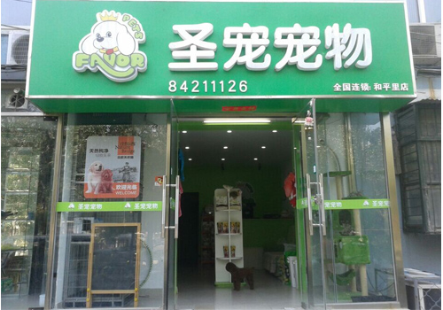 圣宠宠物北京和平里店招聘宠物美容师一名