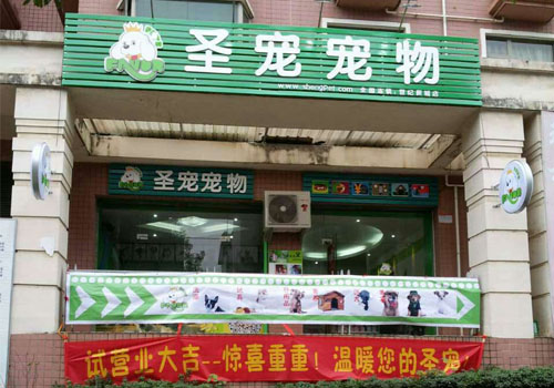 桂林市七星区圣宠宠物店