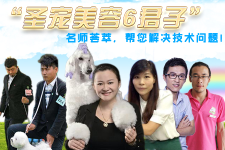 圣宠美容6君子