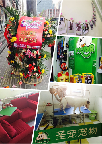 圣宠宠物北京红庙店开业现场