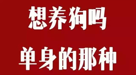 七夕福利，加盟就送“单身狗”，你的“桃花运”来了！