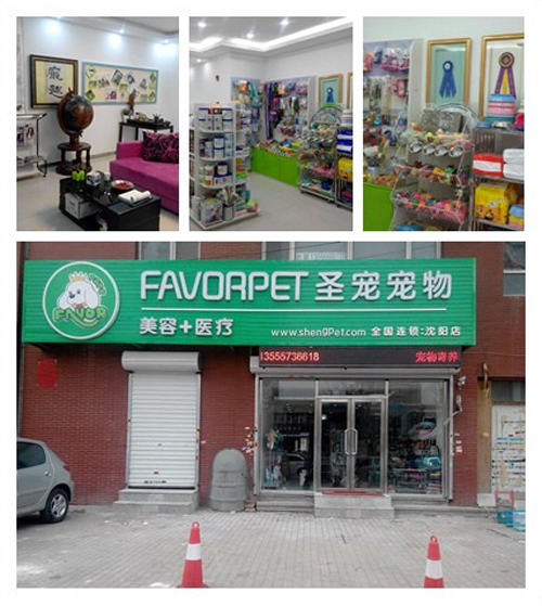 圣宠邀你做评委，谁是沈阳最好的宠物店？