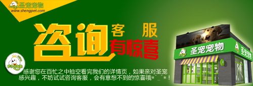圣宠培训学校成为中国畜牧业协会及AKC、NGKC协会授权合作单位