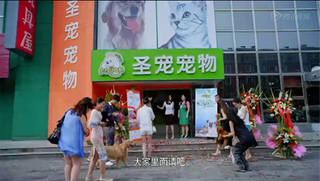 《桃花运》上映，圣宠推动中国宠物行业快速发展！