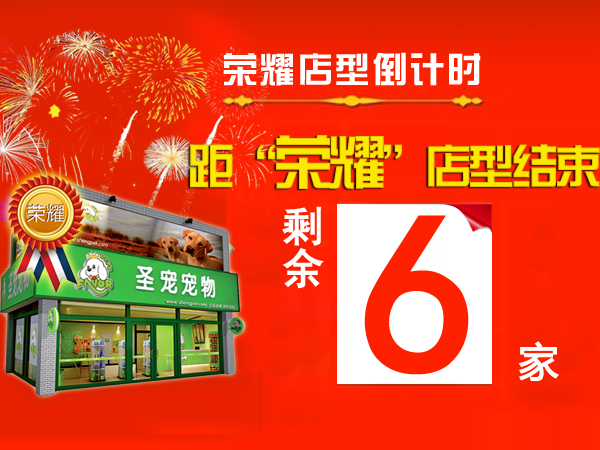 西安加盟店签约圣宠,“荣耀百店”仅剩6名!