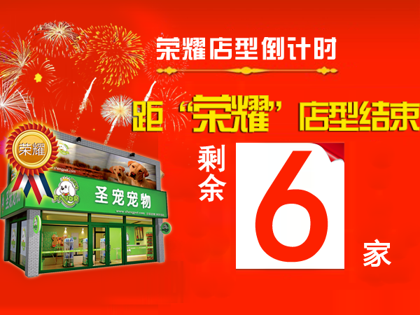 西安加盟店签约圣宠，“荣耀百店”仅剩6名！