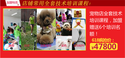 赠送6个培训名额;