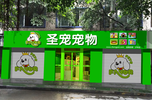 泸州江阳西路宠物店