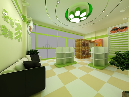 圣宠霸州胜芳宠物店装修设计效果图