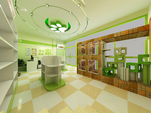 圣宠霸州胜芳宠物店装修设计效果图