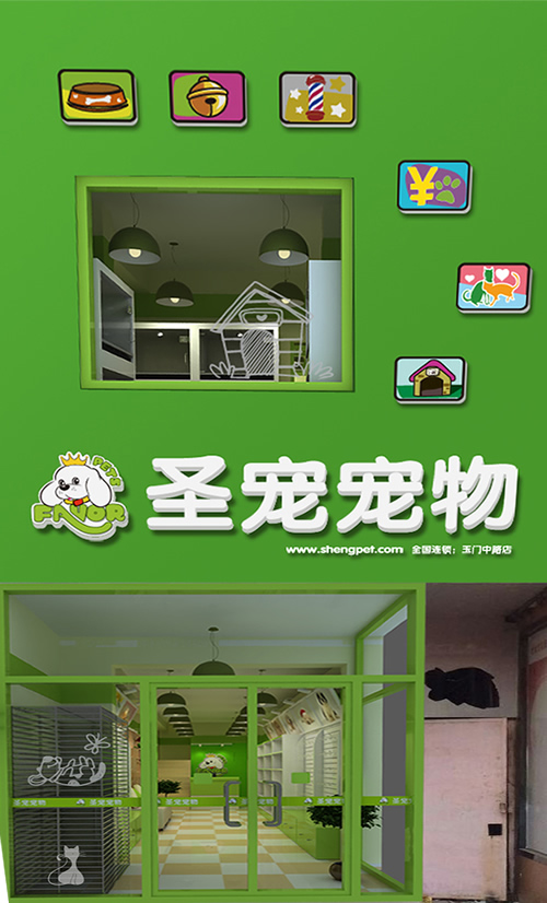 圣宠宠物河南濮阳玉门中路店装修效果图