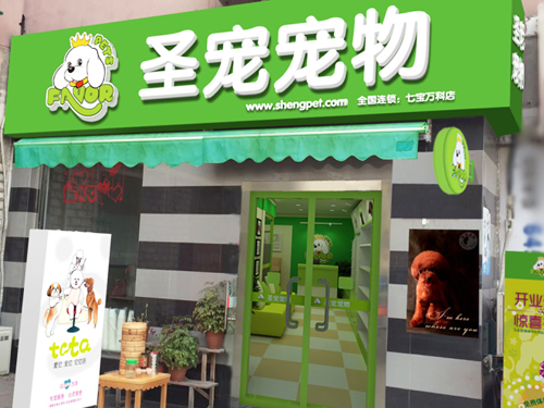 圣宠上海七宝万科店装修效果图