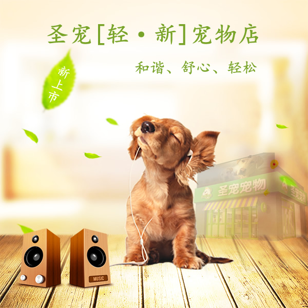 [观察]未来宠物店将是“轻宠物店”？剖析中国宠物加盟行业发展！