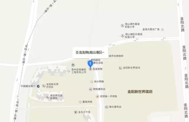 圣宠宠物贵阳市盛大开业,多重豪礼等你拿!