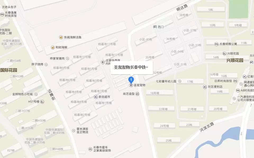 圣宠宠物长春市盛大开业，多重豪礼等你拿