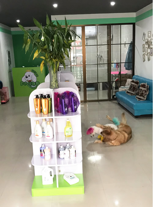 圣宠(五常兴业小区宠物连锁店)