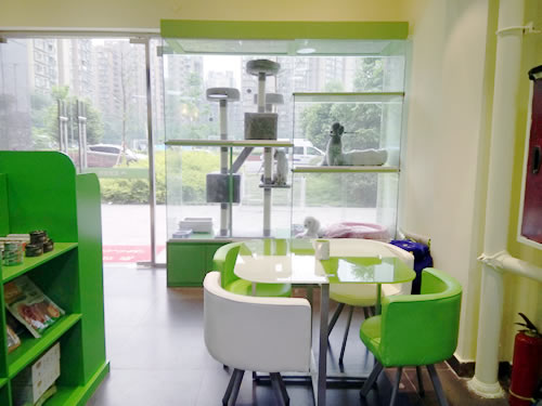 圣宠(成都金鹏街连锁店)
