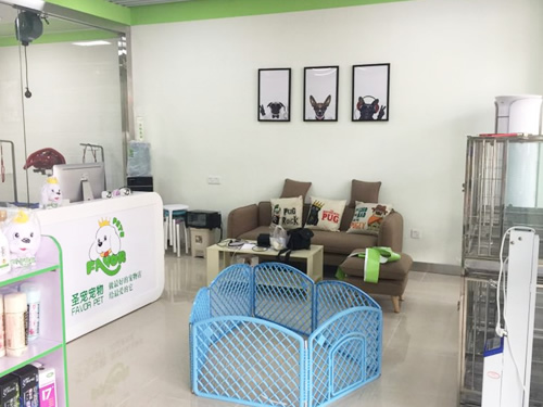 圣宠(宁波溪口镇宠物连锁店)