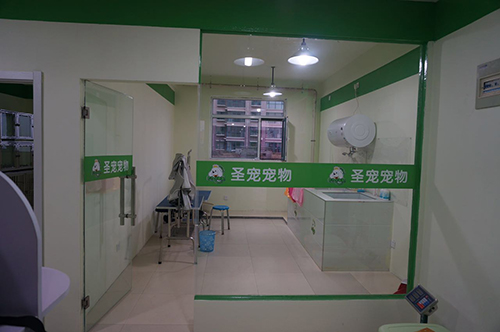 圣宠(忻州忻府万福家园店)