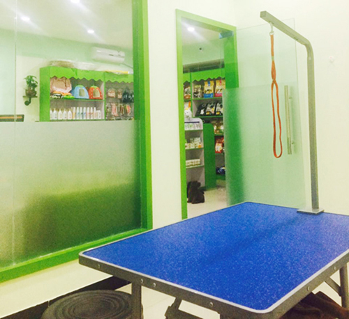 圣宠(重庆潼南奋进广场店)
