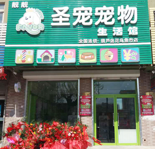 圣宠（葫芦岛花鸟鱼市店）