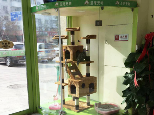 圣宠(郑州白庄宠物连锁店)