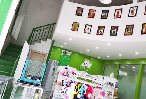 圣宠(义乌廿三里宠物连锁店)