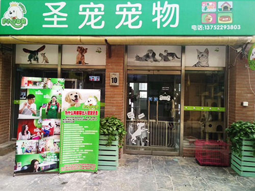 圣宠（天津蓟县青山溪语宠物店）