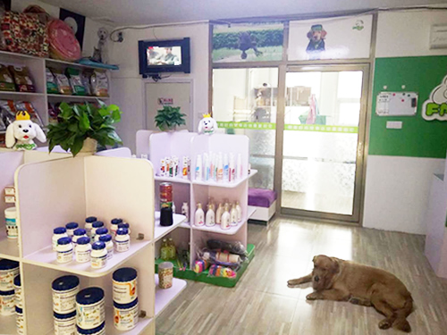 圣宠(天津蓟县青山溪语宠物店)
