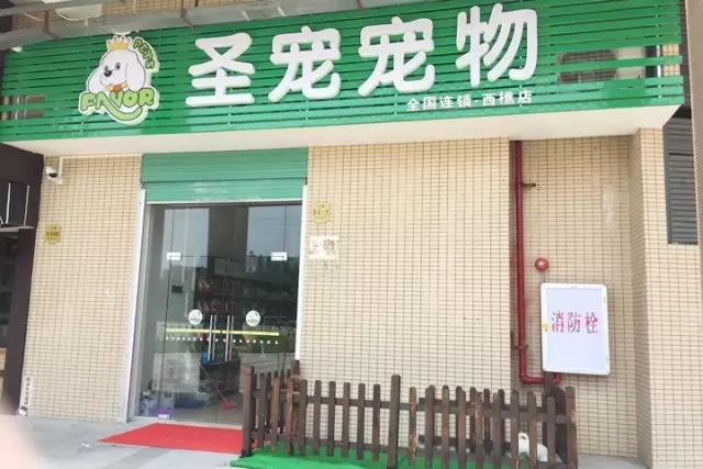 圣宠宠物西樵店开业送优惠|会员充值免费洗澡，更有狗狗免费赠送！